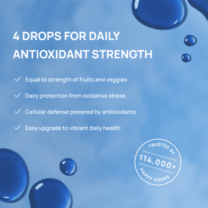 Meraki Methylene Blue Drops – Pharmaceutical Grade Nootropic Supplement for Brain Health - Dietary Supplement Support for Focus & Clarity – Third-Party Tested Formula – 30ml Glass Dropper Bottle